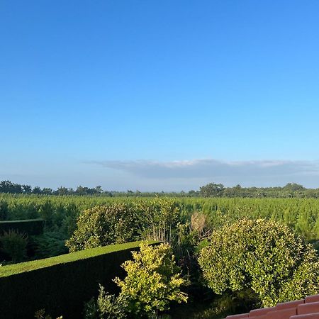 Jolie Maison De Vacances Avec Terrasse Et Jardin Saint-Julien-en-Born Εξωτερικό φωτογραφία