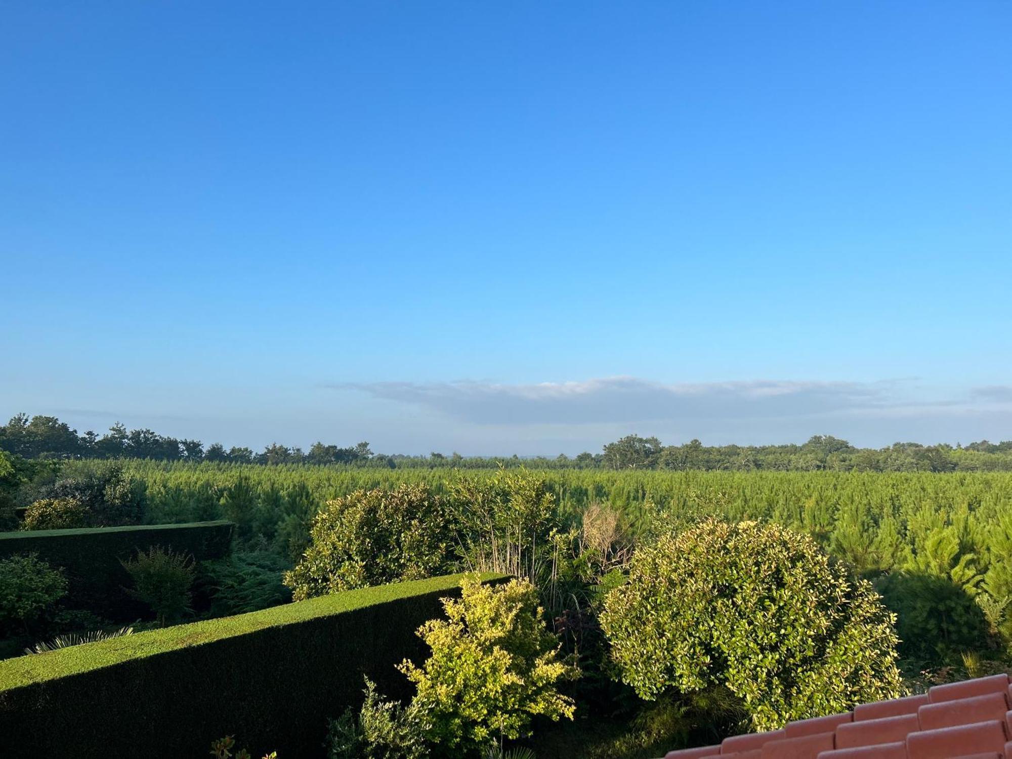 Jolie Maison De Vacances Avec Terrasse Et Jardin Saint-Julien-en-Born Εξωτερικό φωτογραφία