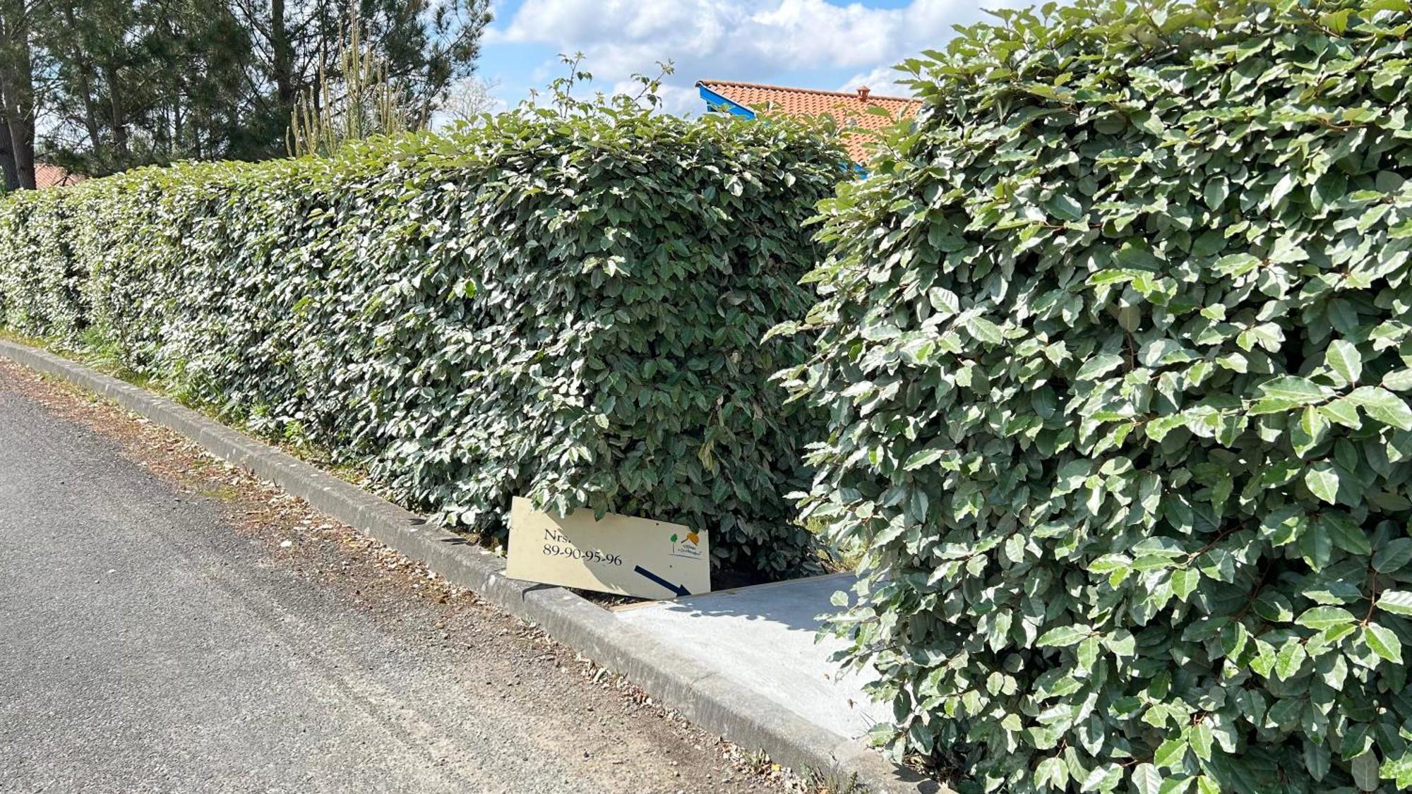 Jolie Maison De Vacances Avec Terrasse Et Jardin Saint-Julien-en-Born Εξωτερικό φωτογραφία