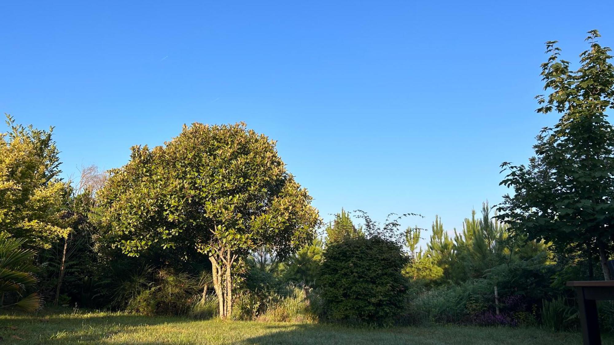 Jolie Maison De Vacances Avec Terrasse Et Jardin Saint-Julien-en-Born Εξωτερικό φωτογραφία